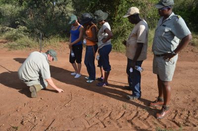 Guided Bush Walks