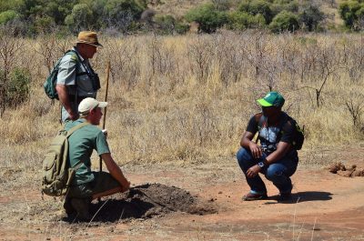 Guided Bush Walks