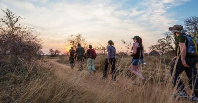 Guided Bush Walks