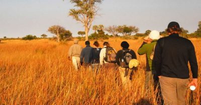 Guided Bush Walks