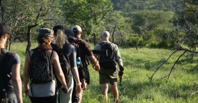 Guided Bush Walks