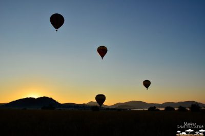 Hot Air Balloon Safaris