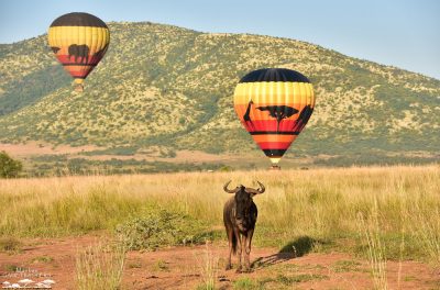 Hot Air Balloon Safaris