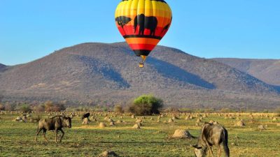Hot Air Balloon Safaris