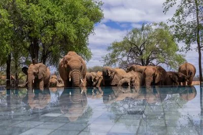 Black Rhino Game Lodge