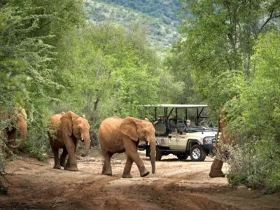 Mbazo Safari Lodge