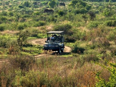 Mbazo Safari Lodge