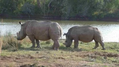 Morokolo Game Lodge