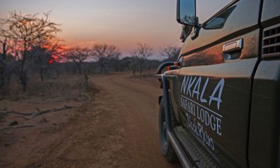 Nkala Safari Lodge