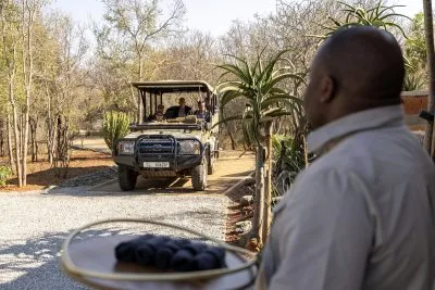 Tsholo Safari Lodge